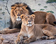 Your kids birthday party places Abq Biopark Zoo in Albuquerque in New Mexico