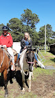 Your kids birthday party places Barnyard Friends & Stables in Morrilton in Arkansas