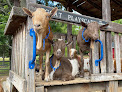 Your kids birthday party places Bradley Mountain Farm in Southington in Hartford