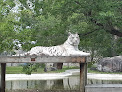 Your kids birthday party places Dakota Zoo in Bismarck in North Dakota
