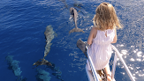 Your kids birthday party places Day Trips Bvi in Tortola in British Virgin Islands