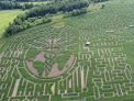 Your kids birthday party places Great Vermont Corn Maze in Danville in Vermont