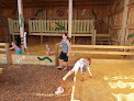 Your kids birthday party places Harvest Moon Farm in Oakland in Nebraska