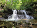 Your kids birthday party places Holly River State Park in Hacker Valley in WV