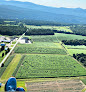 Your kids birthday party places Kingdom Corn Maze & Pumpkin Patch At Simpson Farm in Sutton in VT