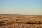 Your kids birthday party places Lazy T Ranch Adventures in Manhattan in Kansas
