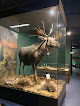 Your kids birthday party places Montgomery Zoo & Mann Wildlife Learning Museum in Montgomery in Montgomery
