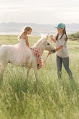 Your kids birthday party places Pony Haven Party Ponies in Bountiful in Utah