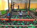 Your kids birthday party places Rockin’ Jump Indoor Trampoline Park- Las Cruces in Las Cruces in New Mexico