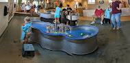 Your kids birthday party places Shenandoah Valley Discovery Museum in Winchester in VA