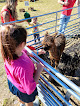 Your kids birthday party places The Pint Sized Pasture in Sanford in North Carolina