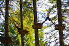 Your kids birthday party places Tree To Tree Adventure Park in Gaston in Oregon